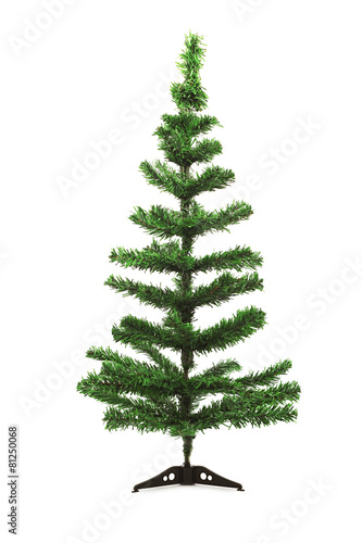 Bare Christmas Tree