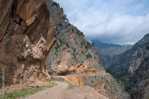 The road through canyon in the mountains
