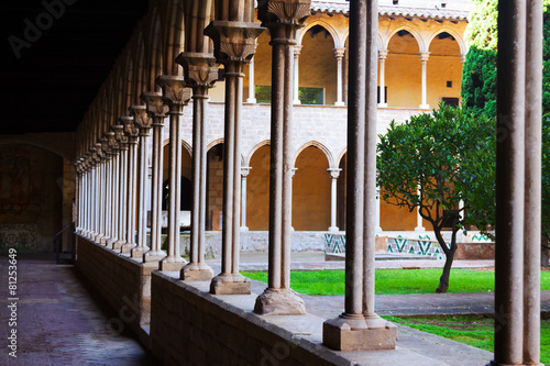 Foto yard of Pedralbes Monastery