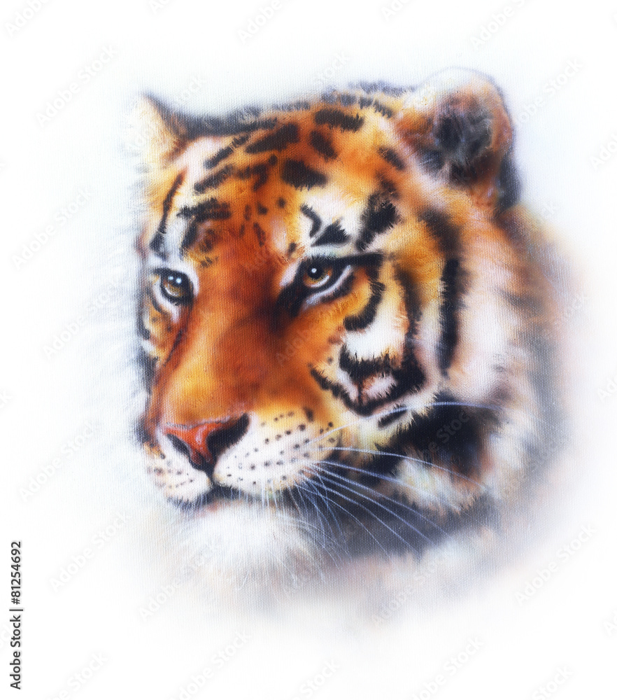 tiger illustration , wildlife animals tiger illustration , wildlife animals