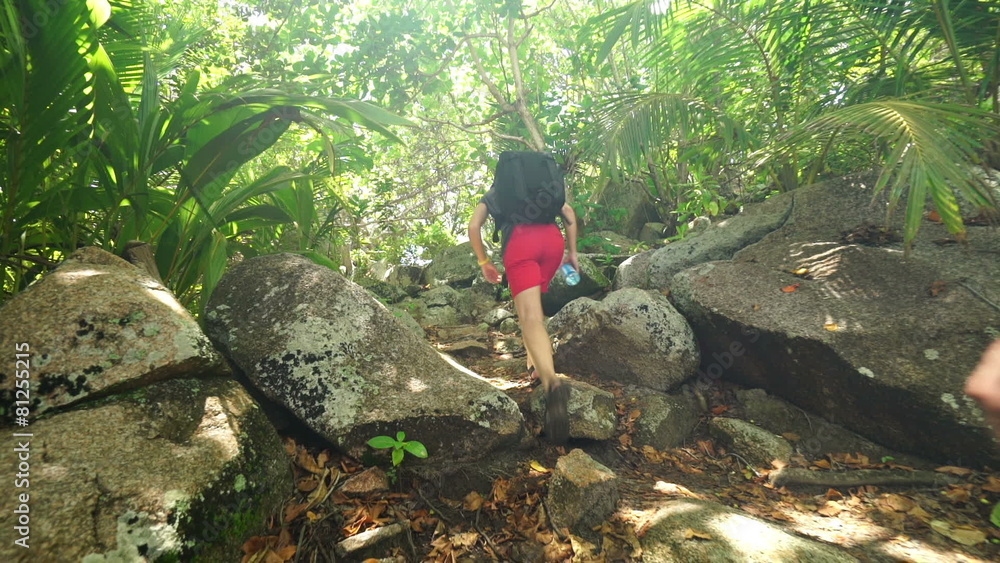 hiking between stones in tropical forest hiking between stones in tropical forest