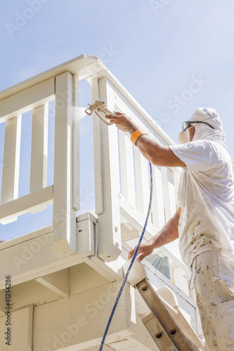 House Painter Spray Paintin...