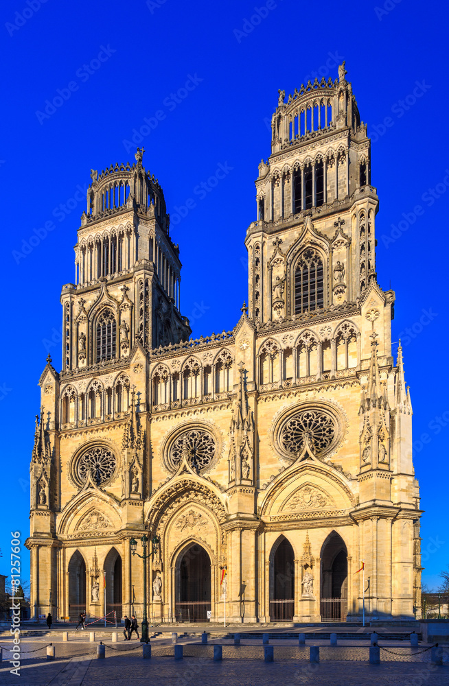 Fototapeta premium Cathédrale Sainte Croix d'Orléans