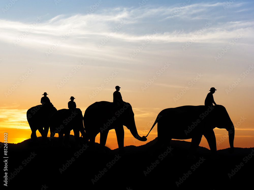 Obraz premium Elephant at mountain on twilight