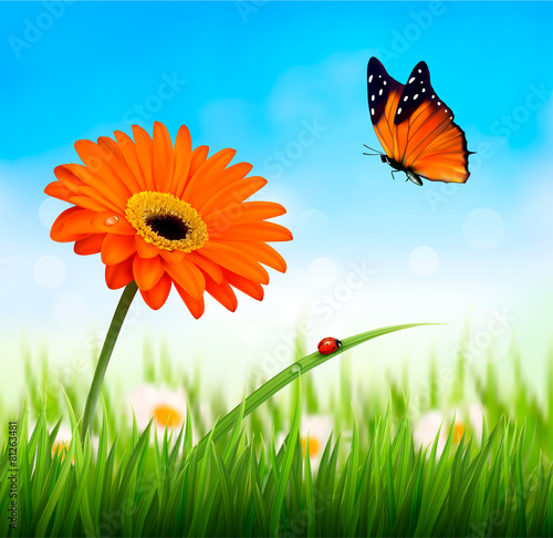 Spring background. Orange beautiful flower and a butterfly. Vect