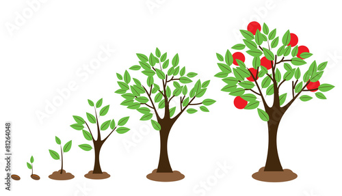Tree Growth