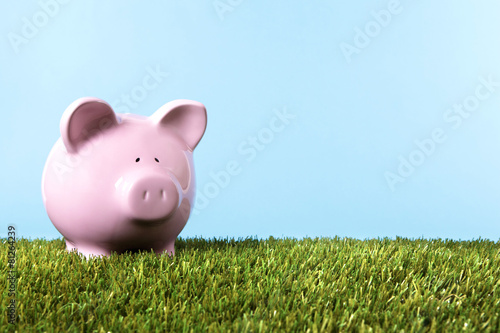 Piggy Bank in green meadow