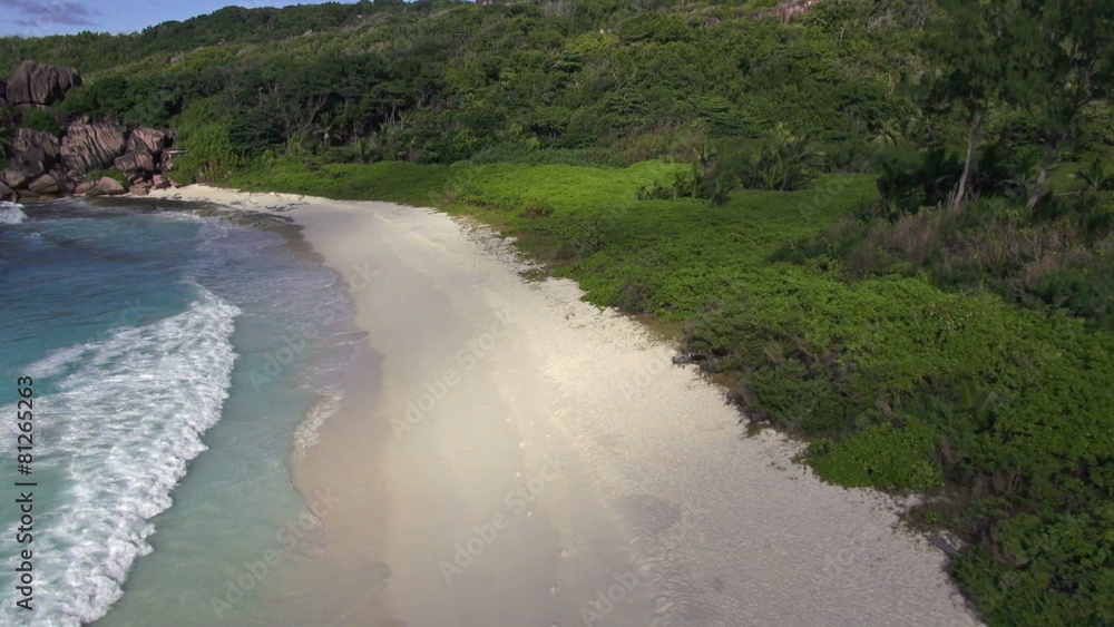aerial beach and lush green vegetation aerial beach and lush green vegetation