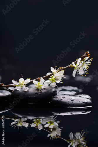 branch tropical flower with therapy stones reflection
