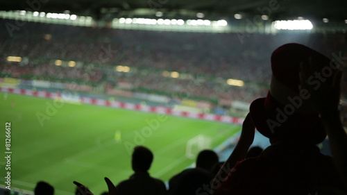 VIENNA, AUSTRIA - SEPTEMBER 11: Soccer fans standing up and sitting down in Vienna Ernst Happel Stadium during soccer match between Austria and Germany on September 11, 2012 in Vienna
 photo