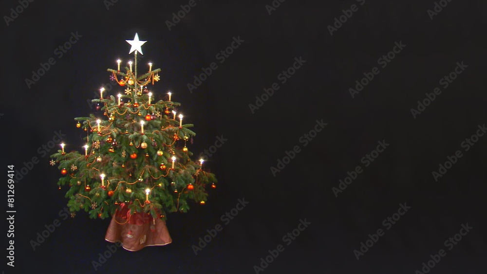 christmastree loop place for text christmastree loop place for text