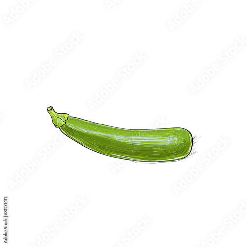 zucchini sketch color drawing isolated over white background