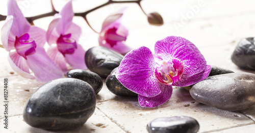 zen femininity with orchid flowers and massage stones