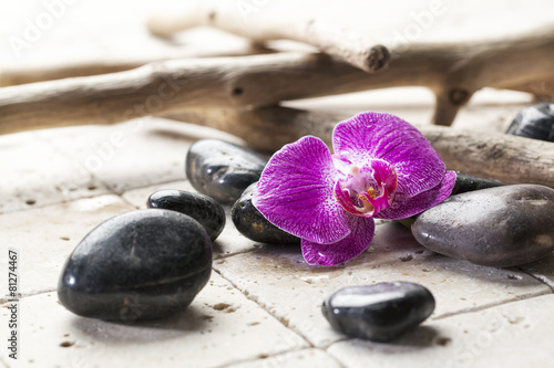 black pebbles with orchid for beauty atmosphere
