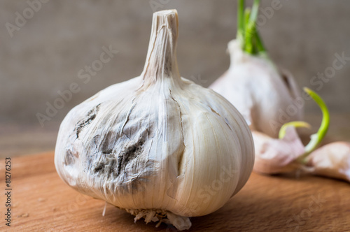Rotting garlic