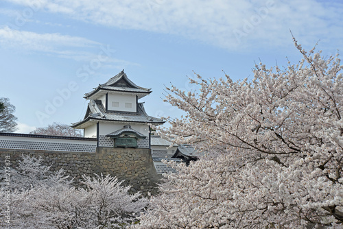 金沢城石川門春景色 photo