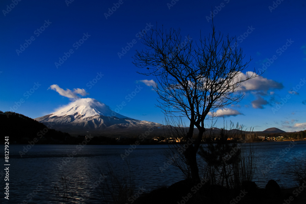 naked branches of a tree against blue sky with Mt.fuji in the ba