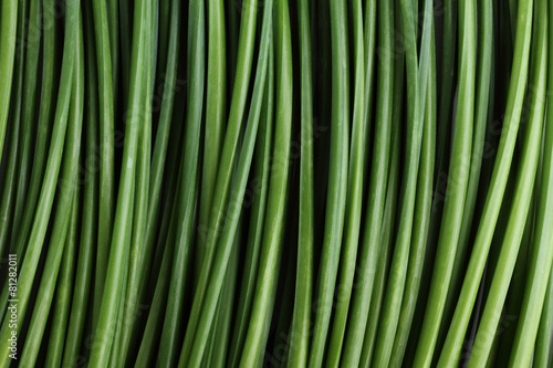 Chinese Chive  food background