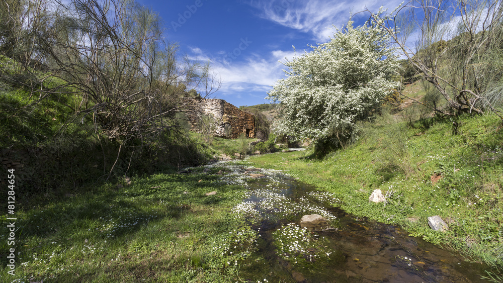 Antiguo molino