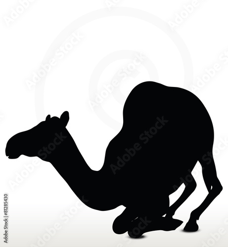 camel in Kneeling pose