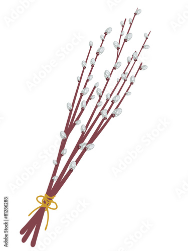 Willow Branches