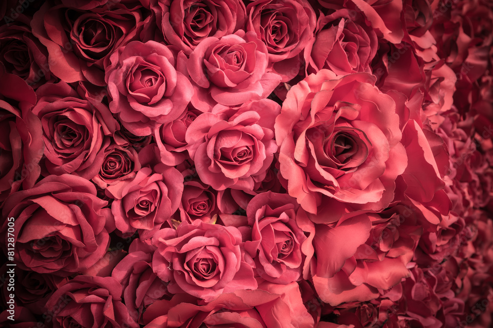Fabric pink rose Fabric pink rose