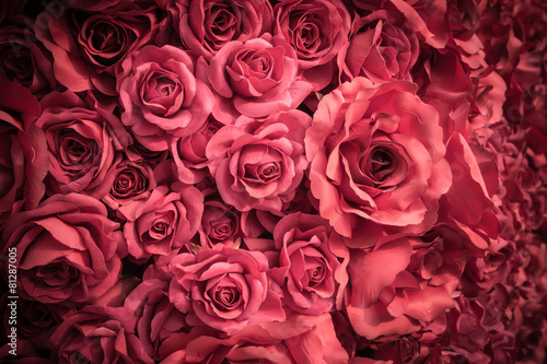 Fabric pink rose