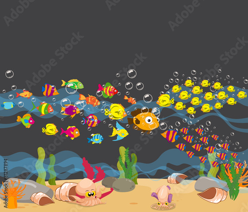 Ocean Underwater World