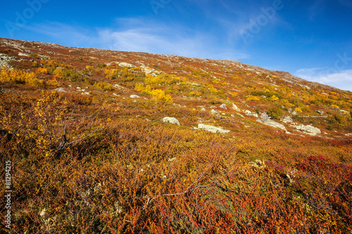 sunny autumn landscape Norway Gamle Strynefjellsvegen photo