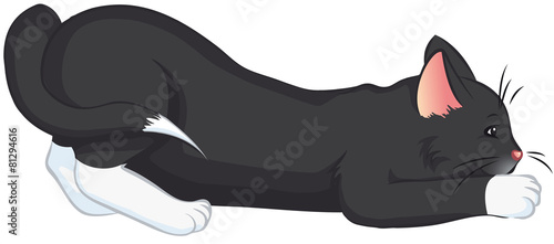 schwarze lauernde Katze