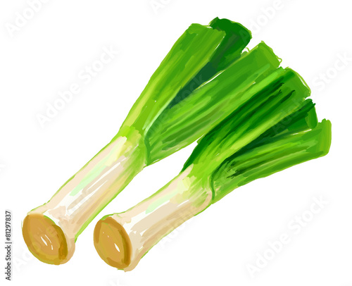 picture of ripe leek