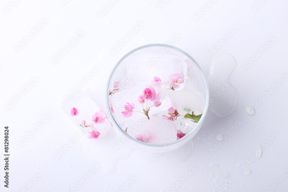 Fototapeta pink flowers ice cube in glass,top view