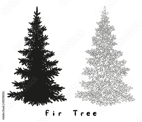 Christmas Tree Silhouette, Contours and Inscriptions