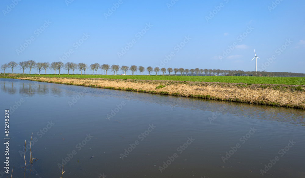 Trees along the shore of a sunny canal in spring