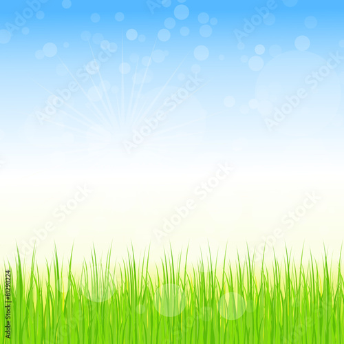 wiese,rasen,gras,grün,floral,frühling,frühjahr,hell,licht