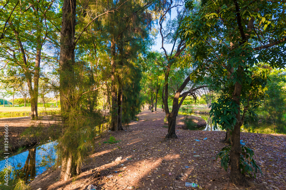 Naklejka premium Public park with green tree