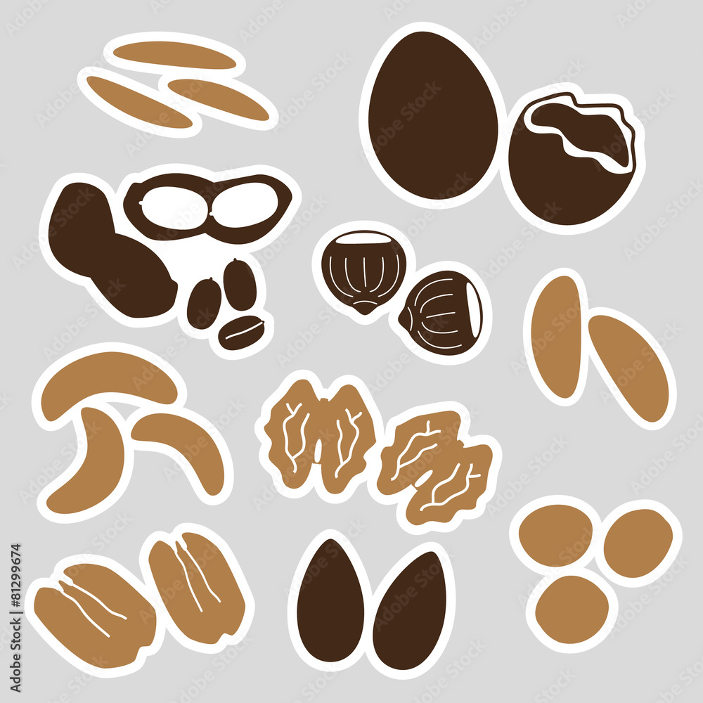 Obraz premium various nuts types brown stickers set eps10