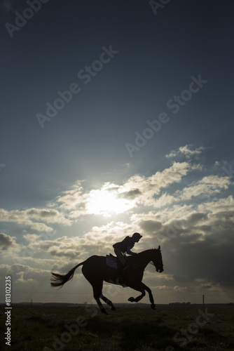 Equus ferus caballus - Horse galloping with rider