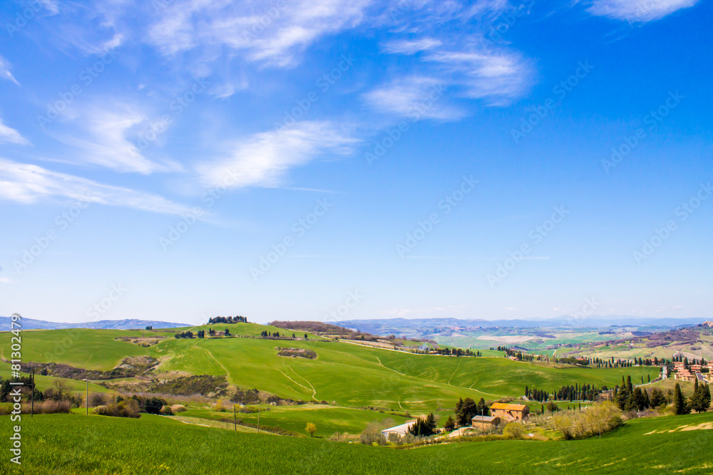 tuscan landscape, view of the green Val D'Orcia