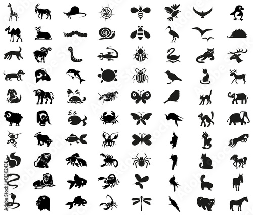 animals, birds, insects icons