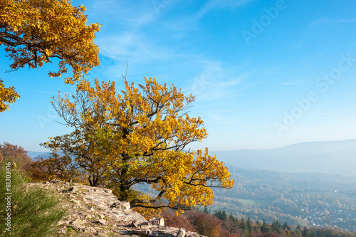 Battertfelsen, Baden-Baden photo