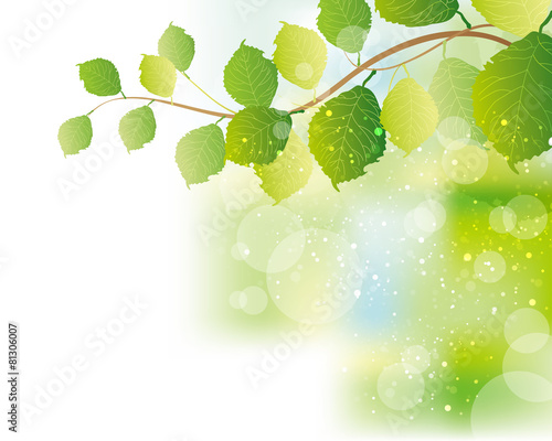 green leaves background