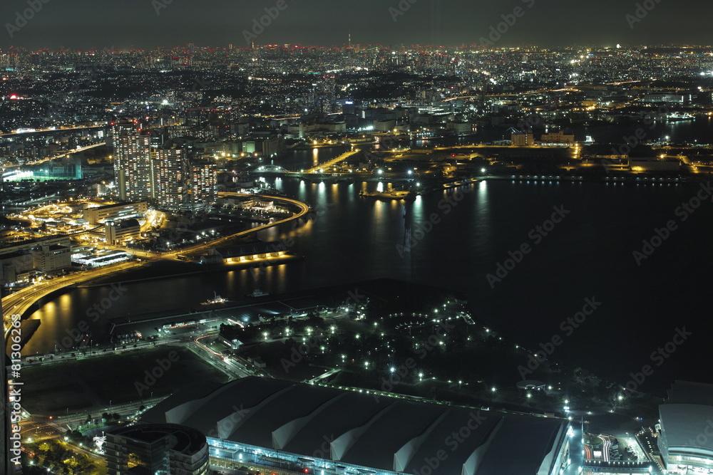 Obraz premium Landmark Tower 15