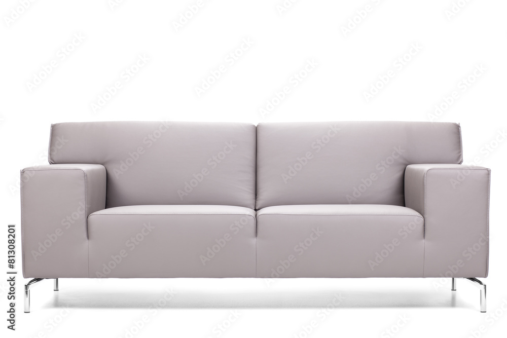 Fototapeta premium gray leather sofa