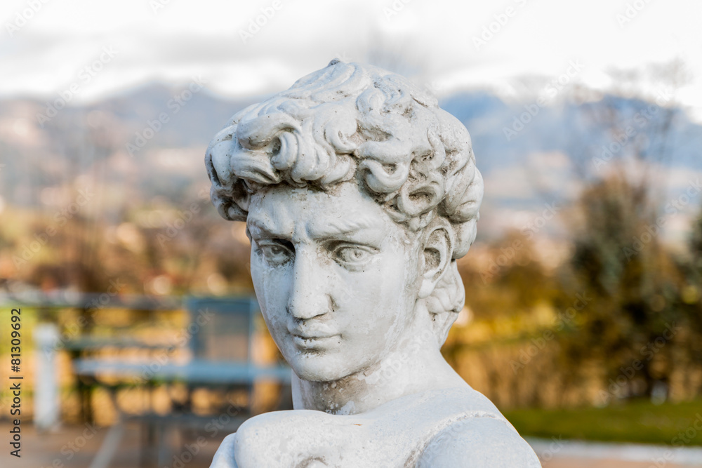 Fototapeta premium Statue - Figur 