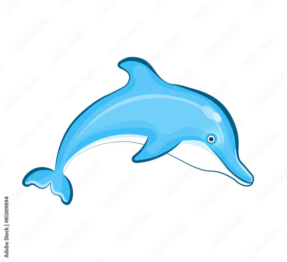 Swimming Dolphin isolated on background Swimming Dolphin isolated on background