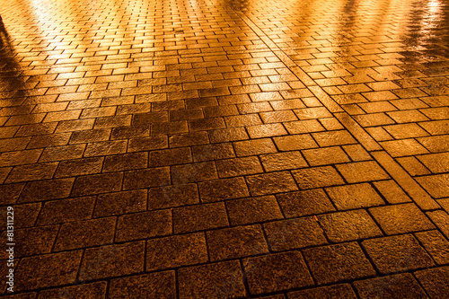 Konstfotografi Wet Cobblestone pavement in Berlin, Germany.