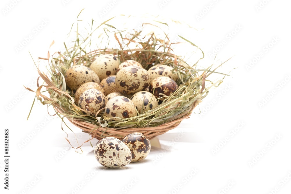 quail eggs isolated on white background quail eggs isolated on white background
