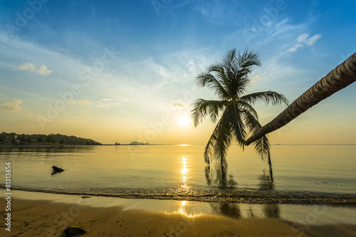 Tropical sunset palm tree in Thailand