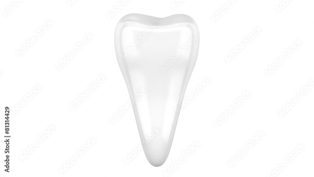 3d human tooth loop rotate on white background 3d human tooth loop rotate on white background